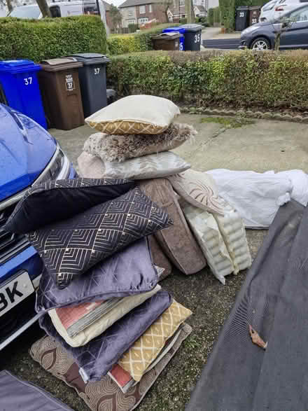 Photo of free Lots of mixed cushions (S12 gleadless) #1