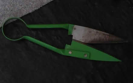 Photo of free almost new topiary shears (Dunball) #1