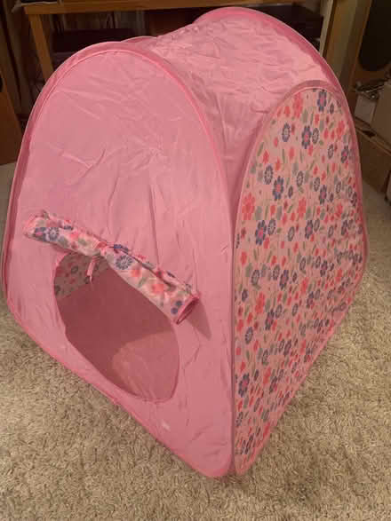 Photo of free Pink play tent (Rooks Nest SG1) #2