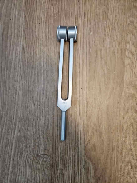 Photo of free Tuning fork (13 1/2 and Farmington) #1