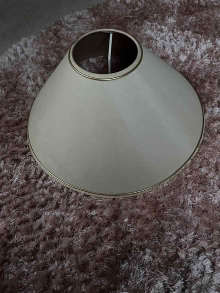 Photo of free Lampshades (Meifod SY22) #2