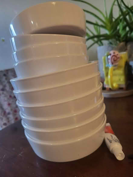 Photo of free 5 small bowls 5 large bowls (Near Downtown Ypsilanti) #1