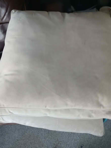 Photo of free 8 large light biege cushions (Renfrewshire PA5) #1