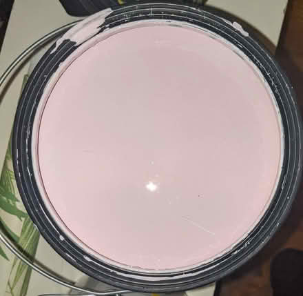 Photo of free PROMISED * 2G of Pink, Flat Paint (East Village) #1