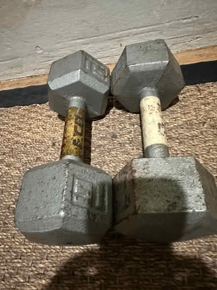 Photo of free 15 lb weights (Lower Haight) #1