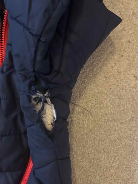 Photo of free Boys’ winter coat (Nutfield RH1) #4