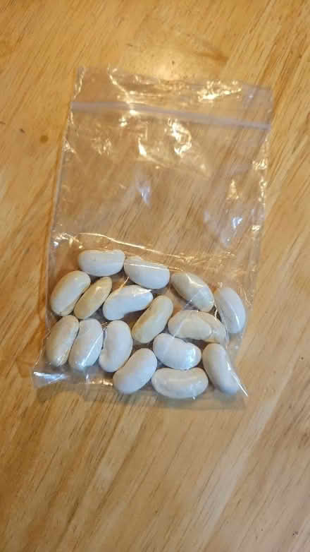 Photo of free 16 x white lady runner bean seeds (Ryhill WF4) #1