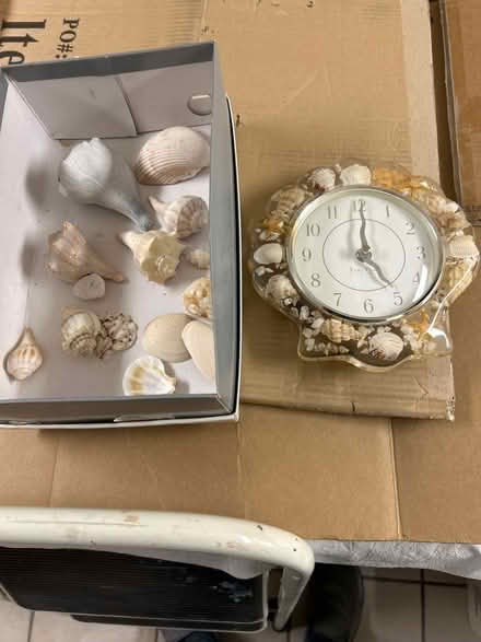 Photo of free Shells and clock (Canton) #1