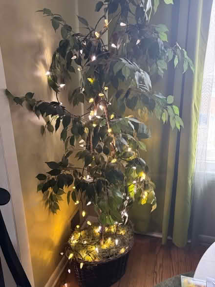 Photo of free Artificial tree (Springfield, VA -22150) #1