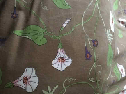 Photo of free Pair of curtains (Queen's Park BN2) #2