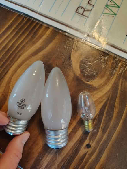 Photo of free 5 small light bulbs (Near Tenney Park) #1