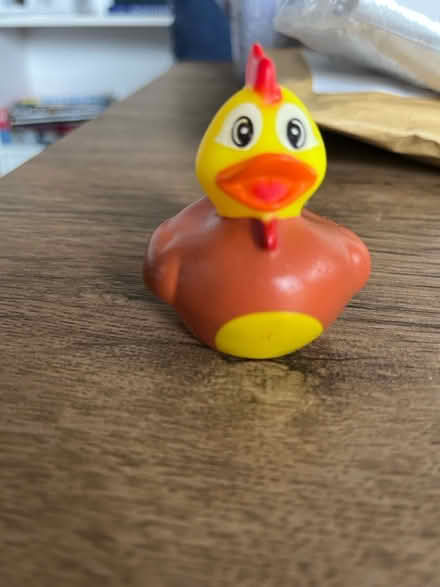 Photo of free Small Bath Duck (Toton) #2