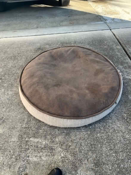 Photo of free Large Dog Bed (Apex Abbington) #1