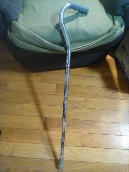 Photo of free Walking canes (Coolidge Highway Guilford) #4