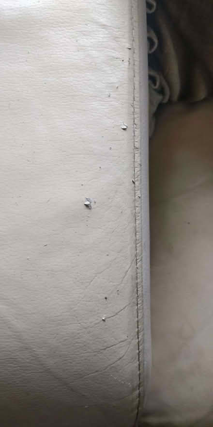Photo of free Two seater sofa, 140cm length x 80cm deep x 80cm height. (Findon Valley BN14) #3