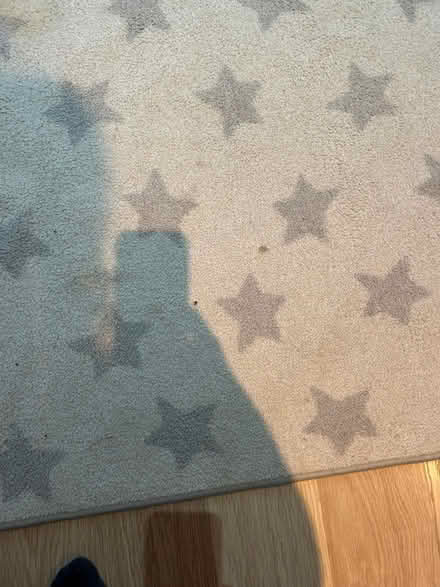 Photo of free Children’s rug (Nutfield RH1) #2