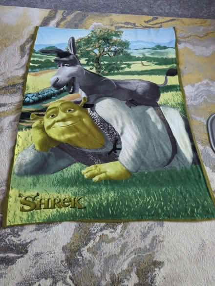 Photo of free Shrek blanket (Woodloes Park CV34) #1