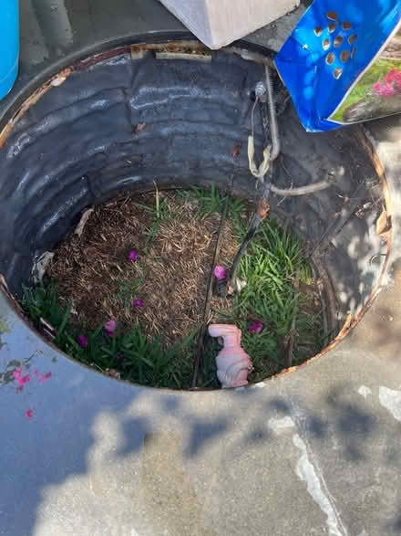 Photo of free Firepit shell (Downtown fullerton) #2