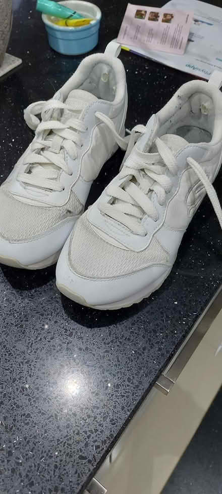 Photo of free Size 4 Skechers (Fleetville) #1