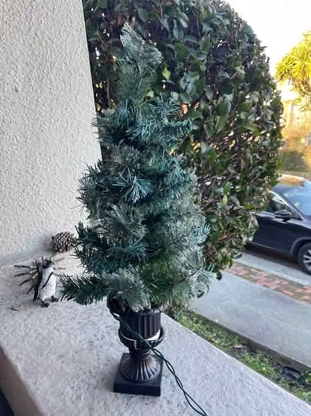 Photo of free Christmas tree 2’ (Oakland) #1