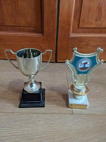 Photo of free Sports trophies (Sedgley DY3) #1