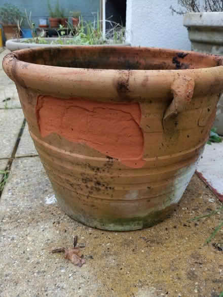 Photo of free Plant pot (Fareham PO15) #2