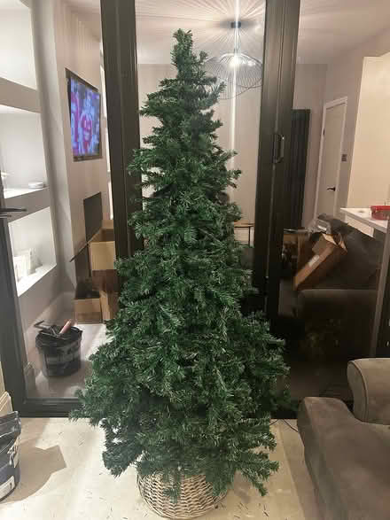 Photo of free 6ft Christmas tree (Stretford M32) #1