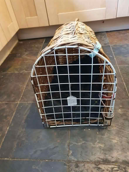 Photo of free Cat carrier (Ringmer BN8) #2