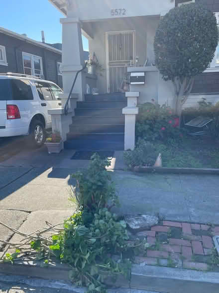 Photo of free Geranium clippings (Oakland) #2