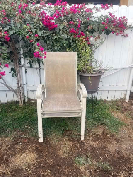 Photo of free 4 patio chairs (Downtown fullerton) #1