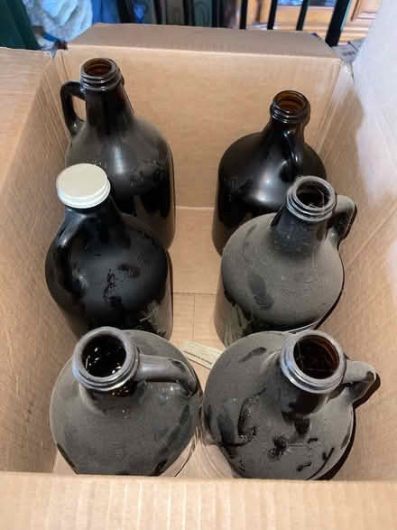 Photo of free Glass Growlers (95825) #1