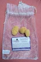 Photo of free Beauty natural sea silk sponges for cosmetic and baby use (Aldrington BN3) #1