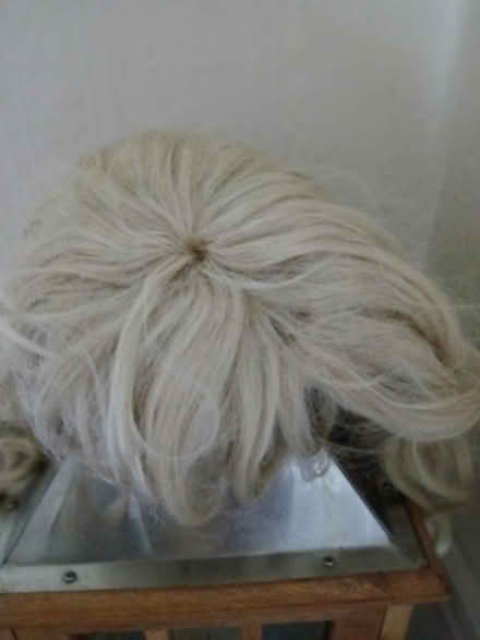 Photo of free Dressing up blonde wig (Crewe, CW2) #1