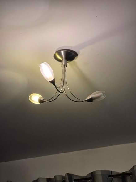 Photo of free Ceiling lights (South Chailey BN8) #2