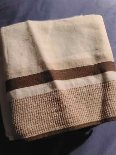 Photo of free Handkerchief (Mississauga Ontario Canada) #1