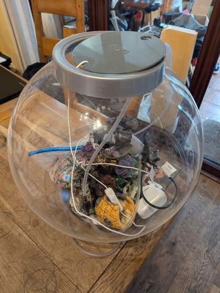 Photo of free Fish tank (Sheffield S12) #1