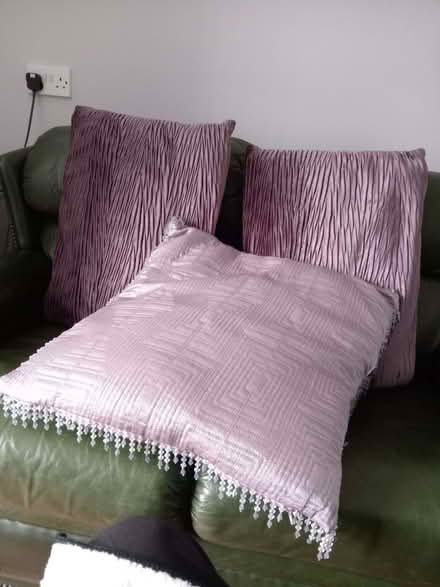 Photo of free Cushions (Dairy Lane Estate DH4) #1