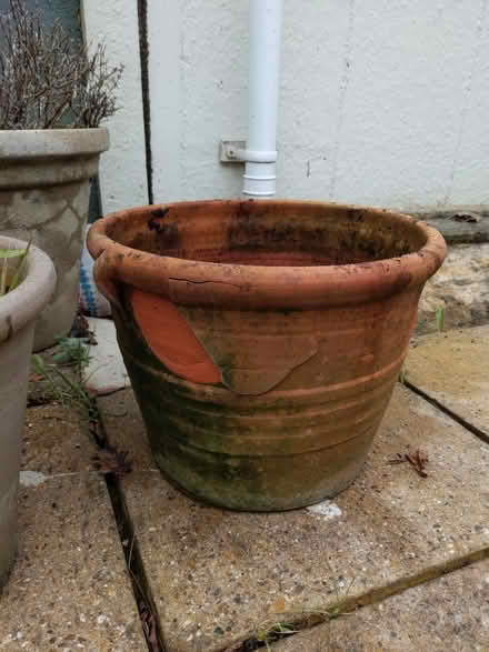 Photo of free Plant pot (Fareham PO15) #1