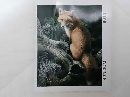 Photo of free Paint by numbers - Fox in acrylics (Ponsanooth TR3) #1