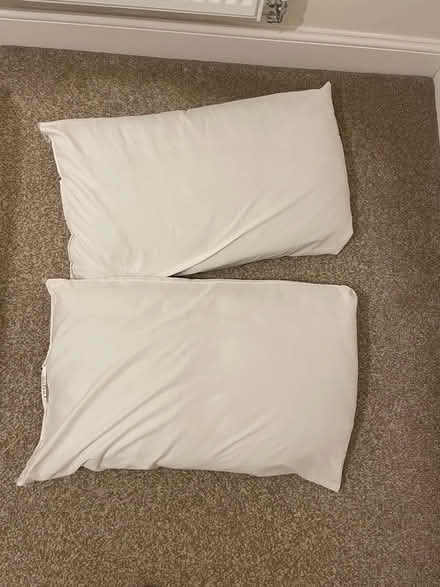 Photo of free 2 pillows (Appleton) #1