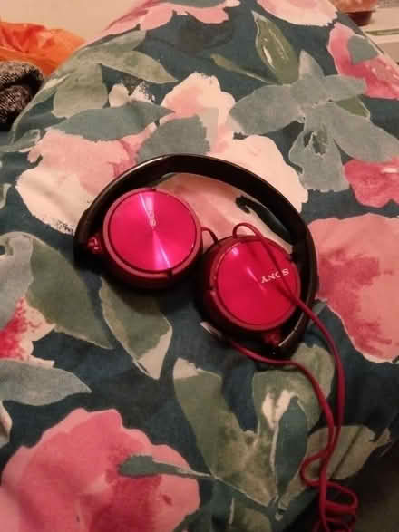 Photo of free Sony headphones (Botley OX2) #1