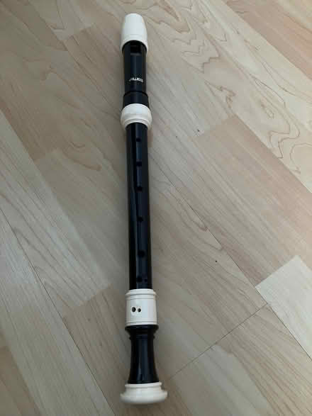 Photo of free Recorders (Verwood BH31) #2