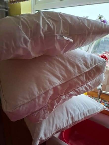 Photo of free 4 Used Pillows (Sherburn DH6) #2