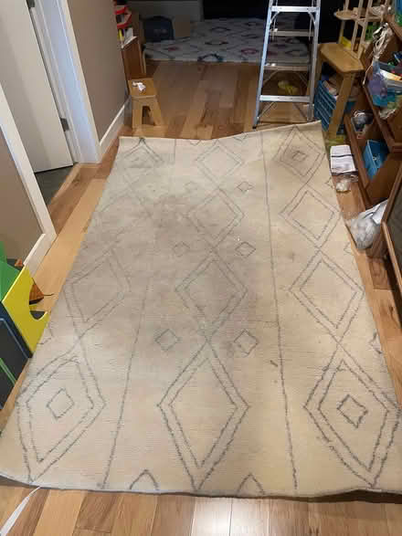 Photo of free 5x8 pottery barn rug (New Paltz) #1