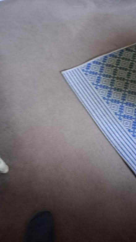 Photo of free carpet some marks. Shed use (pirton SG5) #1