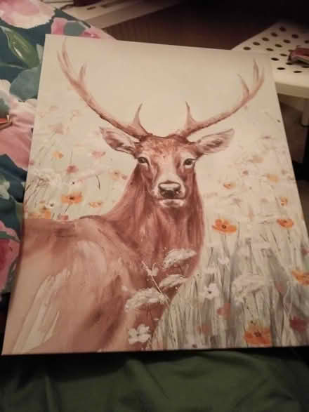 Photo of free Dunelm wall painting/decoration canvas (Botley OX2) #1