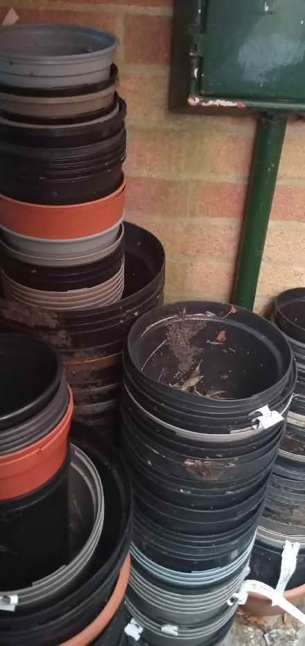 Photo of free Oh so many plastic flower pots (Whitehill GU35) #1