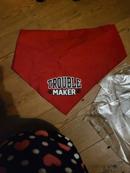 Photo of free Dog bandana (CT11) #1