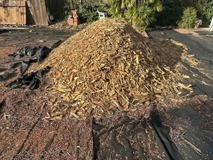 Photo of free Wood chips (Hollywood) #1