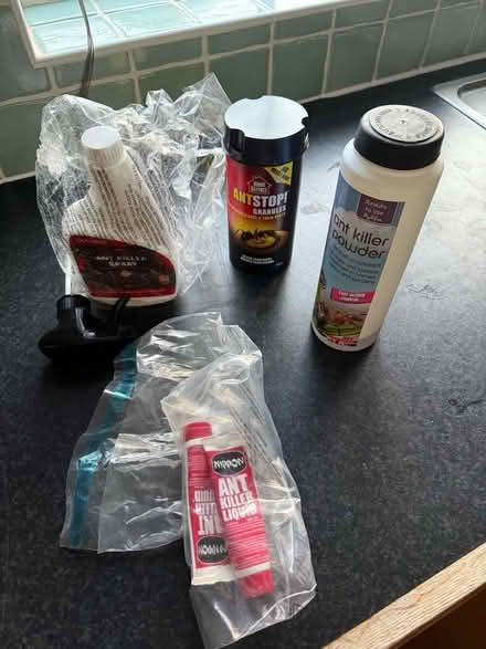 Photo of free Ant killer/control products (Balham SW12) #1